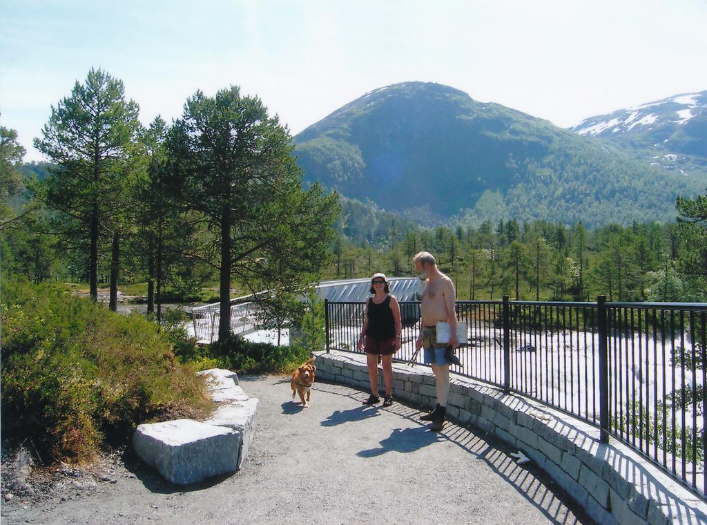 Hov Hyttegrend Viksdalen Exterior photo