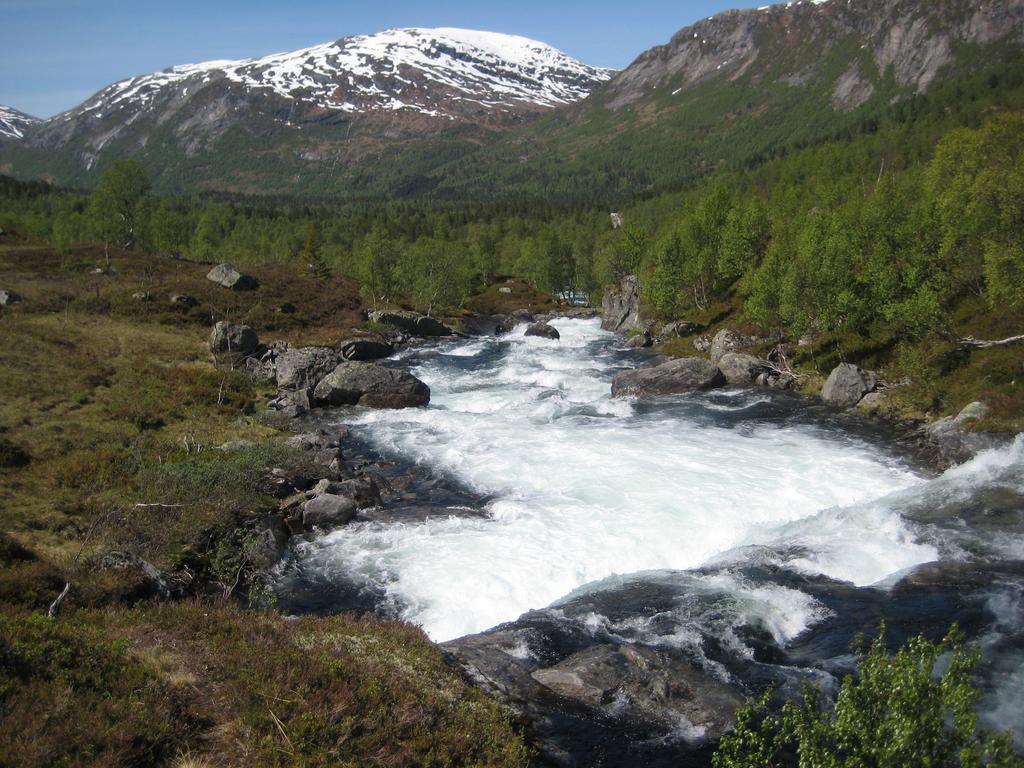 Hov Hyttegrend Viksdalen Exterior photo